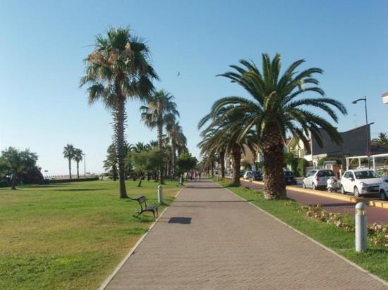Ferienwohnung La Conchiglia Porto SantʼElpidio Exterior foto